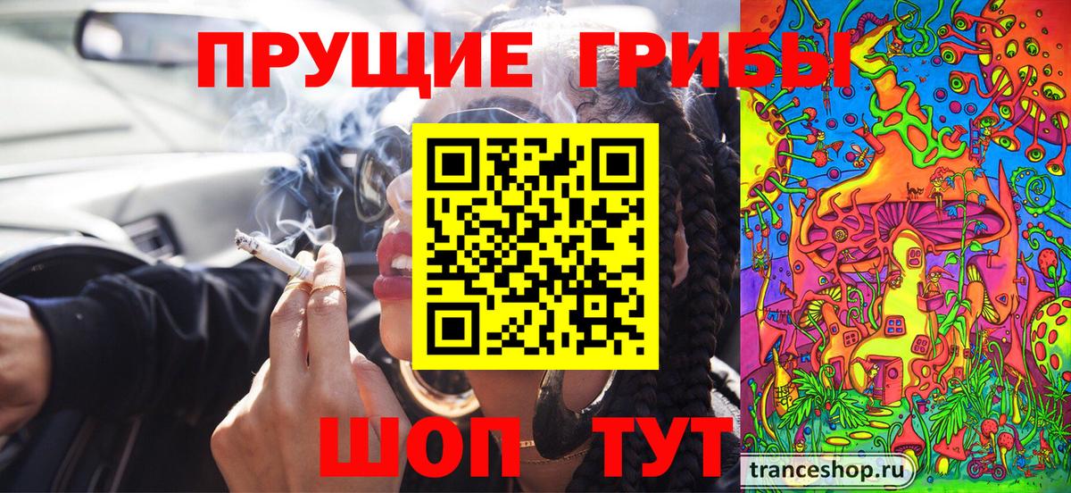 Галлюциногенные грибы MAGIC MUSHROOMS Людиново